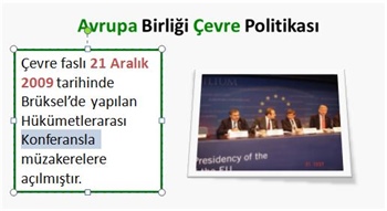 Avrupa Birliği Çevre Politikası